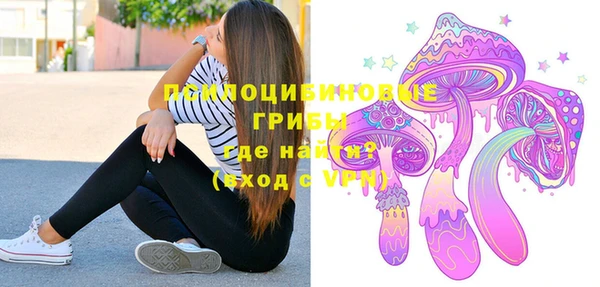 прущая мука Армянск